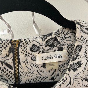 Calvin Klein Size 4 Fitted Dress